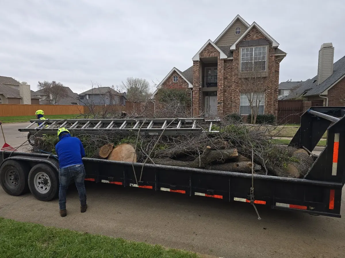 Expert Tree Fertilization with proper safety equipment in New Sharon